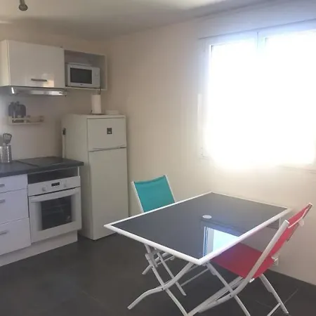 Grand Studio Lumineux Apartment Perols