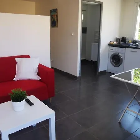 Grand Studio Lumineux Apartment